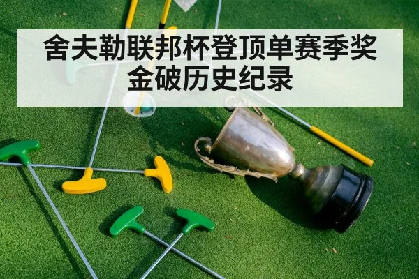 舍夫勒联邦杯登顶单赛季奖金破历史纪录